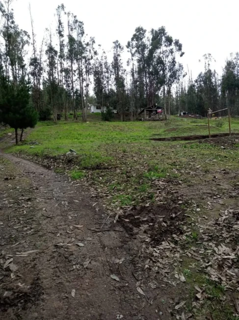 Se vende hermosa propiedad en la comuna de El Tabo 
