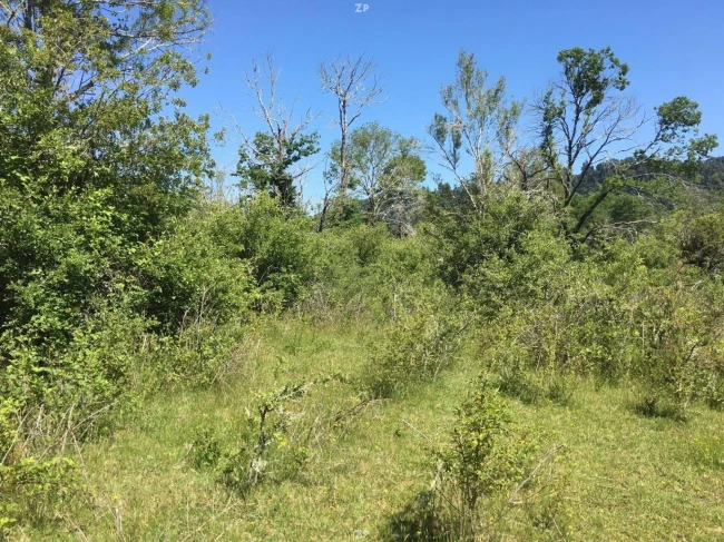 TERRENO 2,5 HECTÁREAS CON RIBERA AL RÍO CAUTÍN