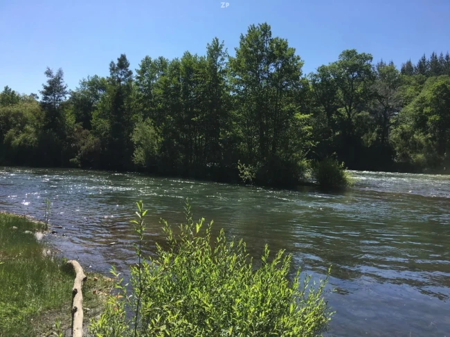 TERRENO 2,5 HECTÁREAS CON RIBERA AL RÍO CAUTÍN