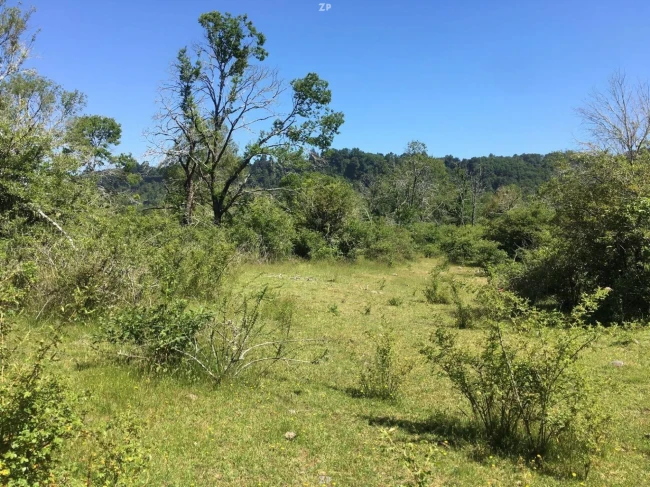 TERRENO 2,5 HECTÁREAS CON RIBERA AL RÍO CAUTÍN