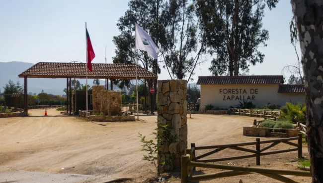 OPORTUNIDAD DE VENTA – PARCELA H14 EN FORESTA DE ZAPALLAR