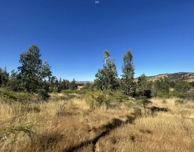 Venta de Parcela de 5.000 m2, rol propio, factibilidad de luz y agua