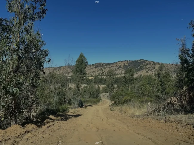 Venta de Parcela de 5.000 m2, rol propio, factibilidad de luz y agua