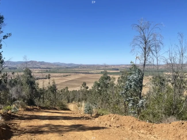 Venta de Parcela de 5.000 m2, rol propio, factibilidad de luz y agua