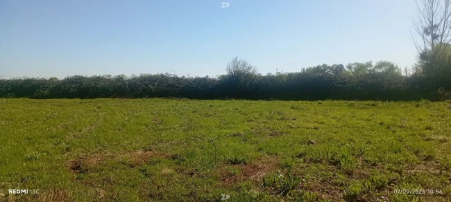 Parcela 5.000 m² con construcción de 84 m²
