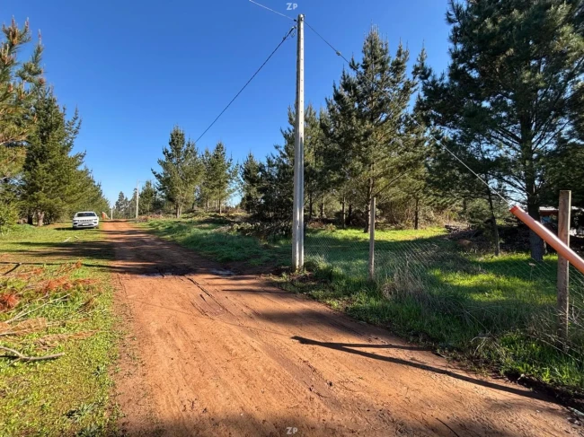 Venta de 2 terrenos de 5000 m2 c/u a 15 min centro Los Angeles