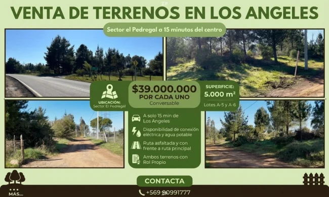 Venta de 2 terrenos de 5000 m2 c/u a 15 min centro Los Angeles