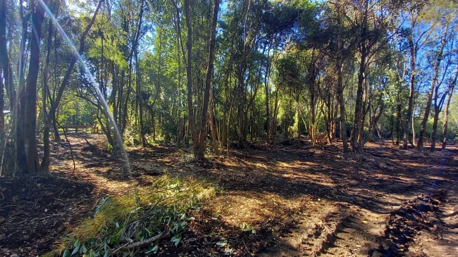 Vendo parcela Villarrica