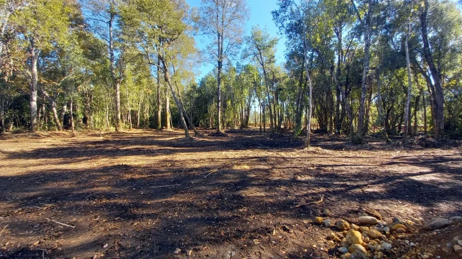 Vendo parcela Villarrica