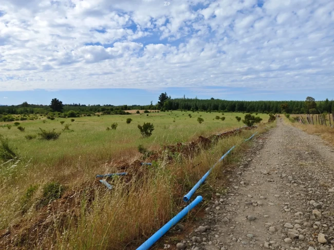 PARCELAS DESDE $15 MILLONES A SOLO 4 KM DE PEMUCO CON AGUA RIPIO CREDITO DIRECTO