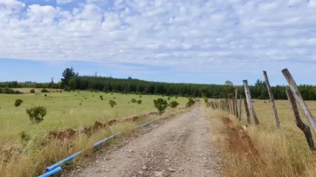 PARCELAS DESDE $15 MILLONES A SOLO 4 KM DE PEMUCO CON AGUA RIPIO CREDITO DIRECTO