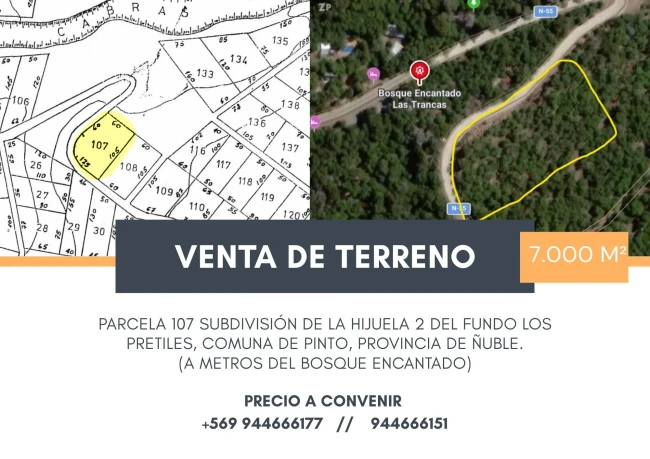 TERRENO EN VENTA – PINTO, ÑUBLE | 7.000 M²