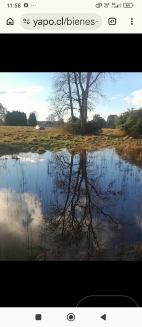 Oportunidad, venta 2 parcelas Lago Ranco de 5000mts2 C/U