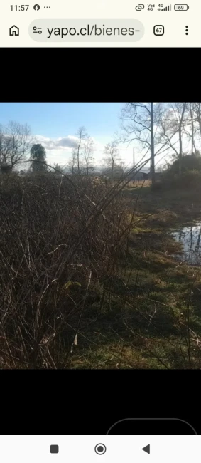 Oportunidad, venta 2 parcelas Lago Ranco de 5000mts2 C/U