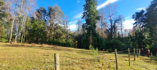 Terreno 5.000 m² – Zona de Los Lagos