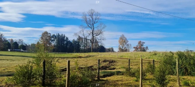 Terreno 5.000 m² – Zona de Los Lagos