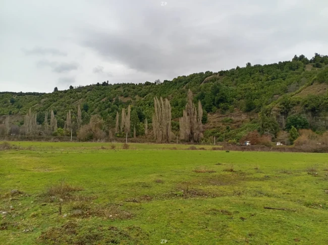 Parcela de 5.000 m² en Quilaco, cerca del río Biobío | Rol propio