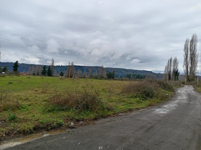 Parcela de 5.000 m² en Quilaco, cerca del río Biobío | Rol propio