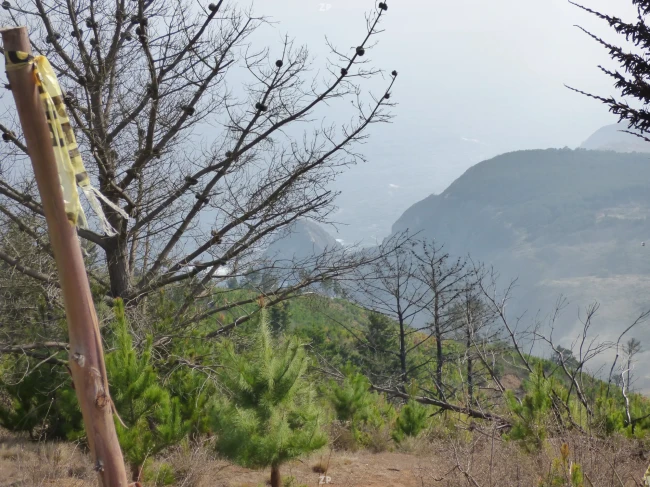 Parcela "Mirador del Encanto", 12.300 m2 , rol propio