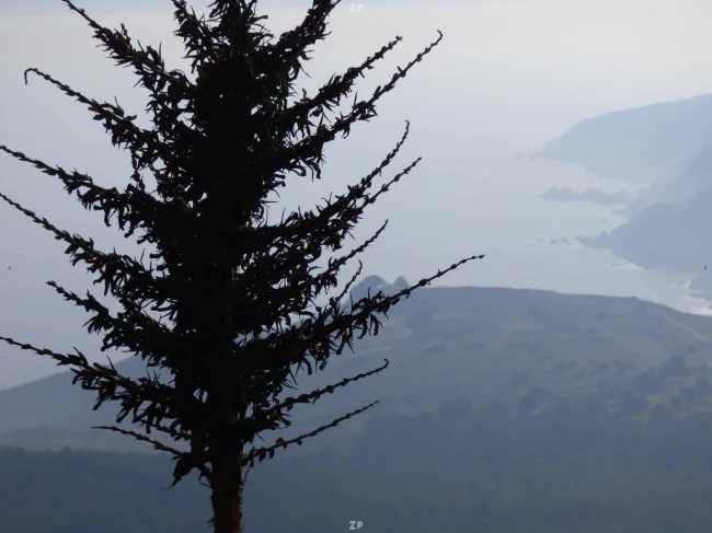 Parcela "Mirador del Encanto", 12.300 m2 , rol propio
