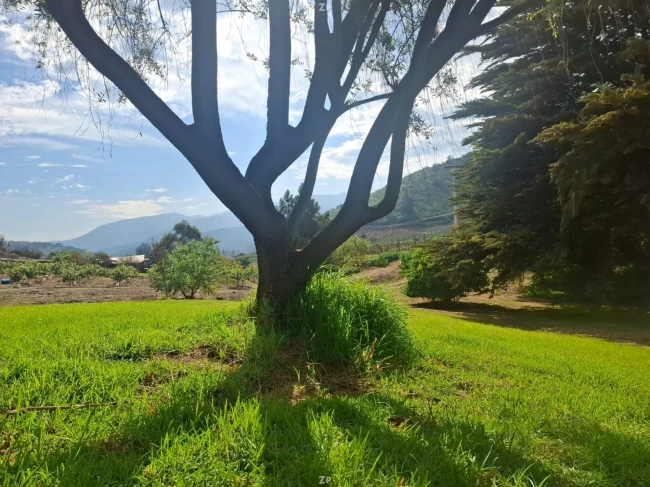 Parcela con rol propio 5.000 m² en Mallarauco