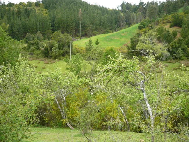 Venta de Terreno 