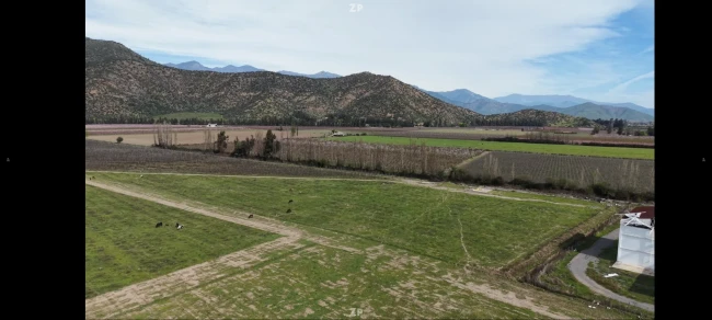 Terreno agricola