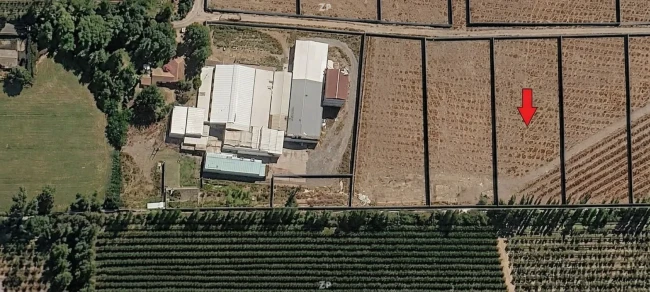 Terreno agricola