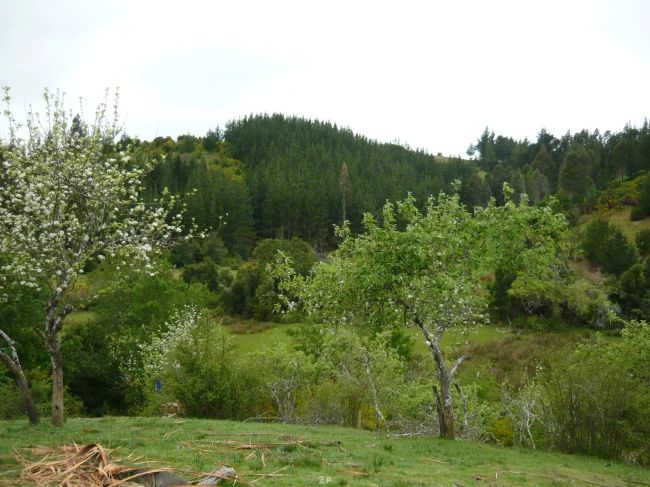 Venta de terreno 