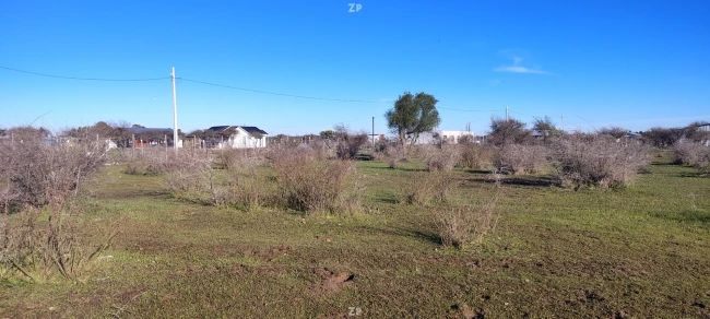Parcela +5.000 m² con pozón en San Nicolás, Ñuble.