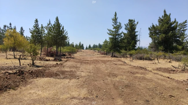 Hermosas Parcelas 5.020 m2, San Javier | Rol Propio | Dueño