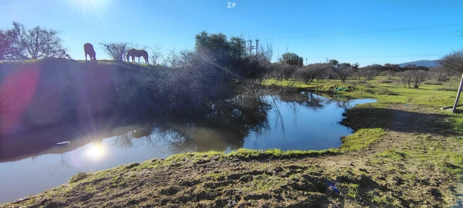 Parcela +5.000 m² con pozón en San Nicolás, Ñuble.