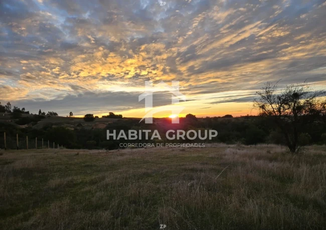 Terreno en venta – Condominio Almart, Navidad