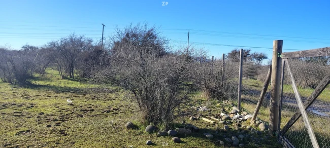 Parcela +5.000 m² en San Nicolás, Ñuble — Frente a carretera