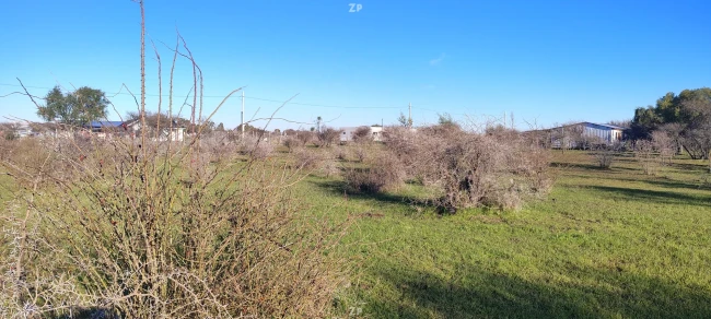 Parcela +5.000 m² con pozón en San Nicolás, Ñuble.