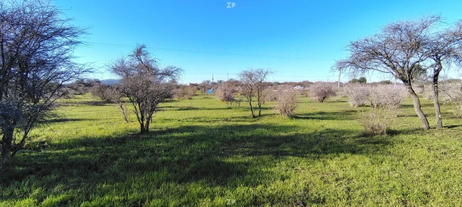 Parcela +5.000 m² en San Nicolás, Ñuble — Frente a carretera