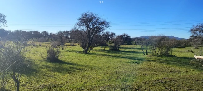Parcela +5.000 m² en San Nicolás, Ñuble — Frente a carretera