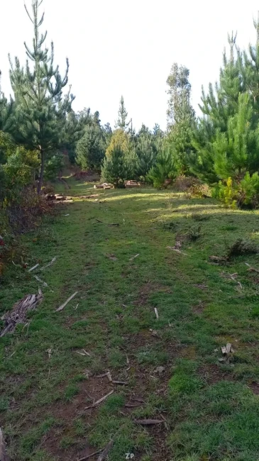Foto 2 de la propiedad