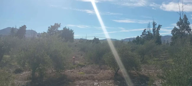 Parcela plana 13.842 m² con derechos de agua, Vallenar