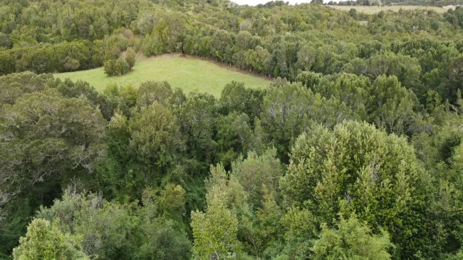Parcela de 5.000 m² con casa en construcción en Curaco de Vélez, Chiloé