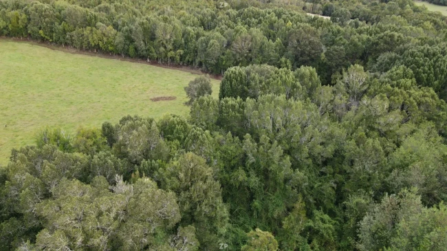 Parcela de 5.000 m² con casa en construcción en Curaco de Vélez, Chiloé