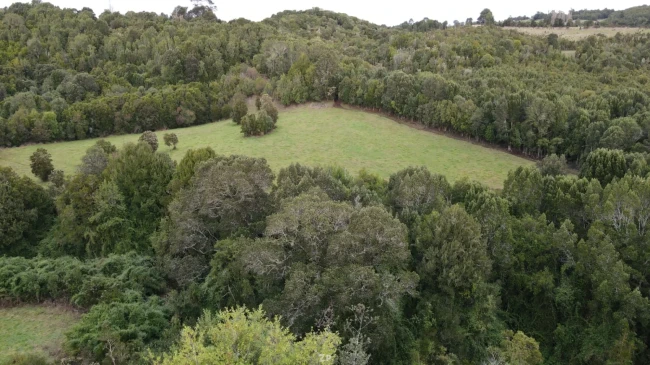 Parcela de 5.000 m² con casa en construcción en Curaco de Vélez, Chiloé