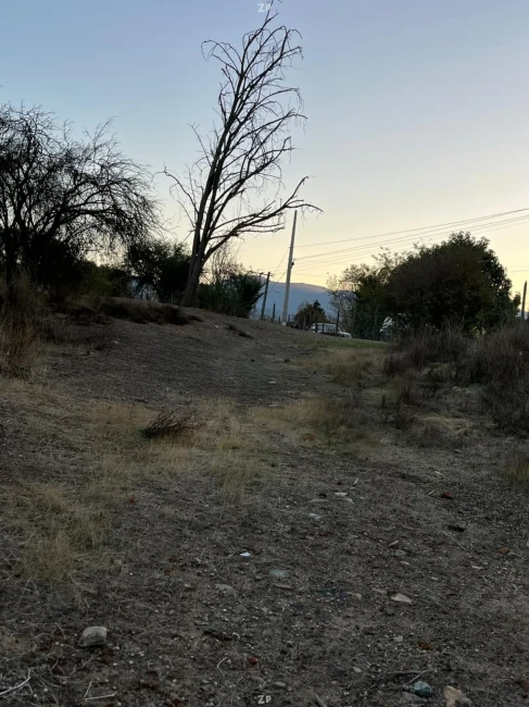 Terreno en Tantehue, a costado de Ruta. 