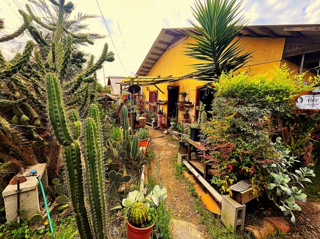 Casa Con Rol en Melipilla, Sector Santa Filomena