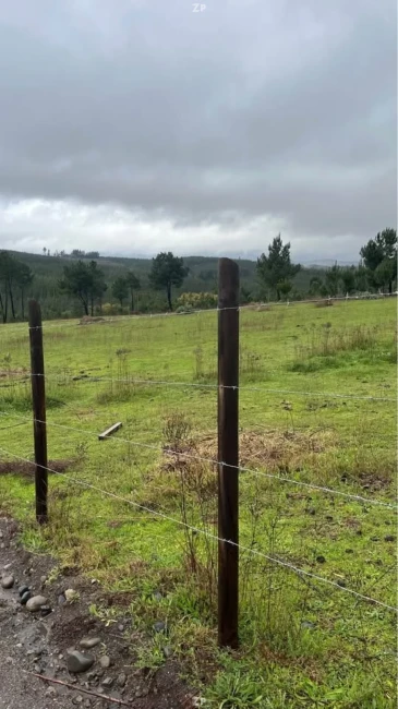 Foto 2 de la propiedad