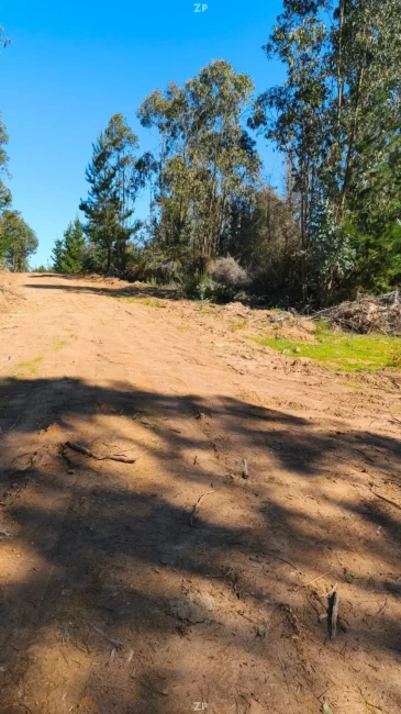 🌿 ¡Parcelas de 5.000 m² con Rol Propio en Licantén desde $19.990.000! 🏡