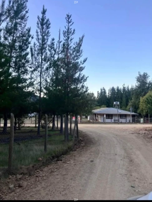 🏡 Parcelas en venta – Bosques de Chépica, Región de O'Higgins.