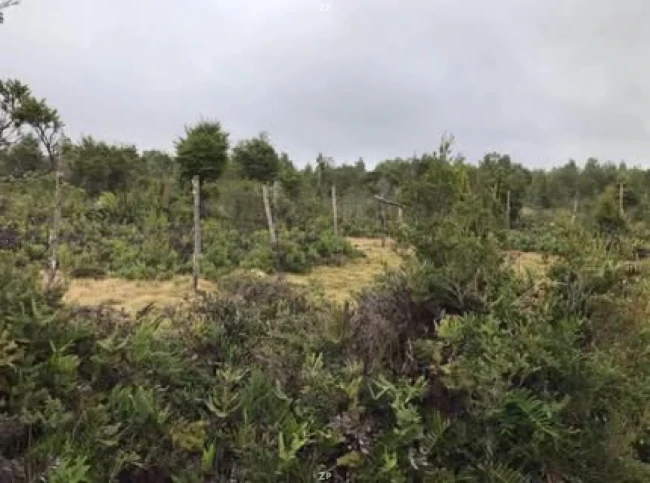 Se vende terreno 39,8 hectáreas 