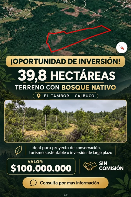 Foto 3 de la propiedad