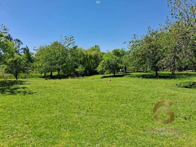 CAMPO 8,5HA - INVERSIÓN TURÍSTICA, AGROPECUARIA y DE PARCELACIÓN